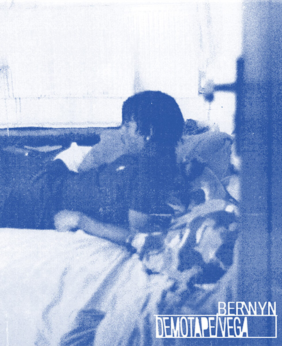 Berwyn-DV
